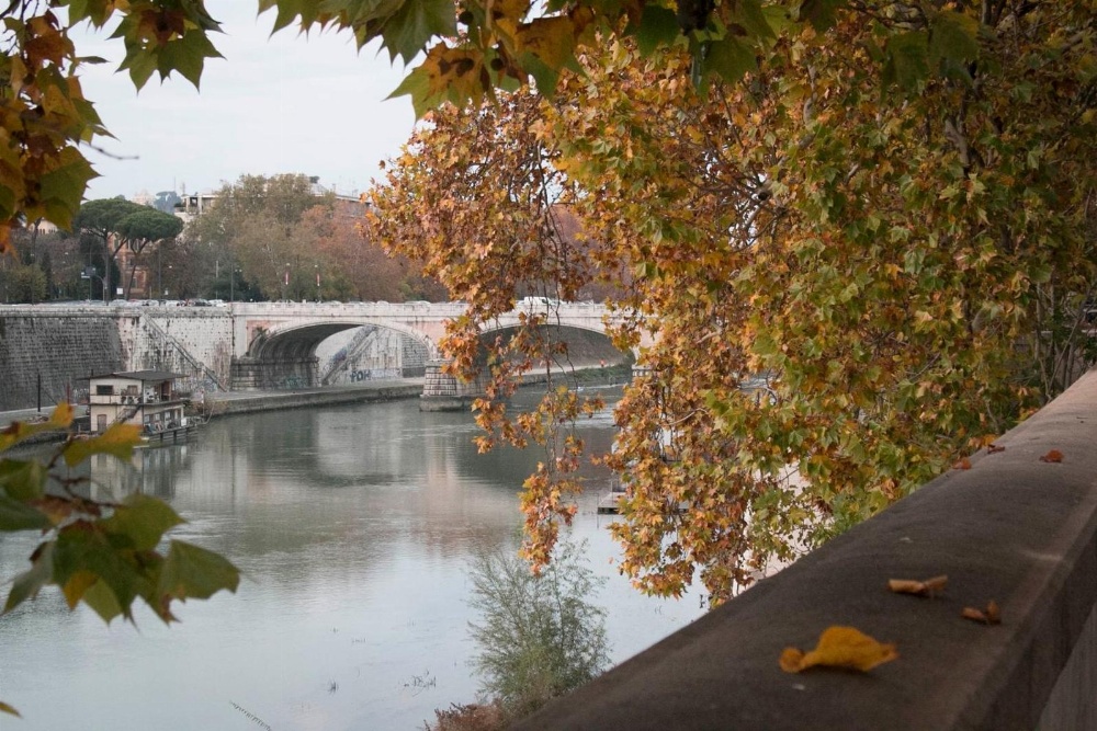 Gesu' e Maria Collection Suite